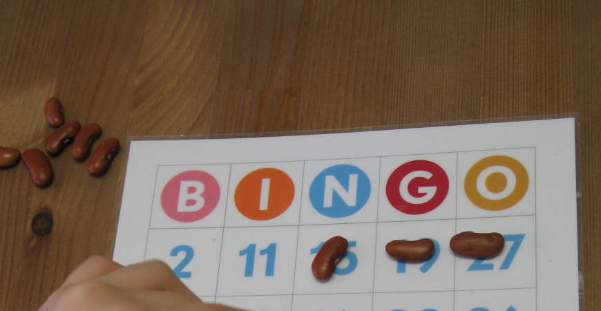 Rosy Bingo Slots